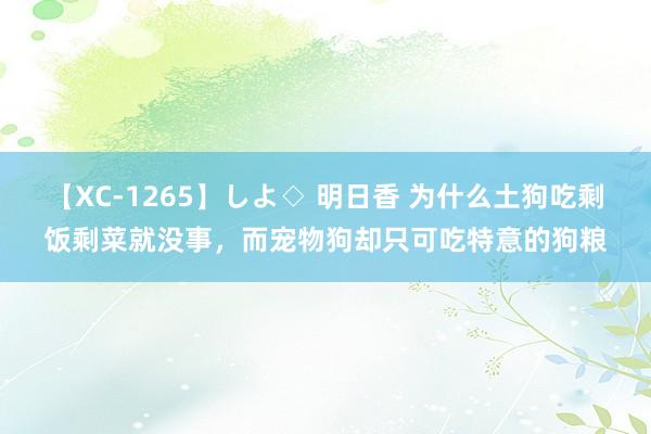 【XC-1265】しよ◇ 明日香 为什么土狗吃剩饭剩菜就没事，而宠物狗却只可吃特意的狗粮