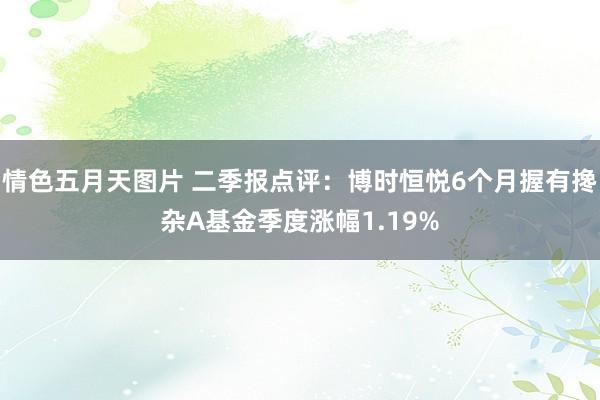 情色五月天图片 二季报点评：博时恒悦6个月握有搀杂A基金季度涨幅1.19%