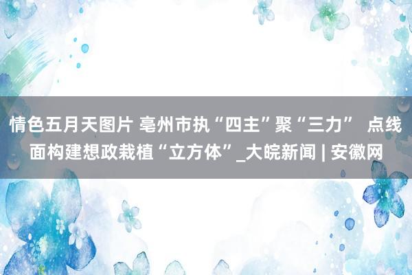 情色五月天图片 亳州市执“四主”聚“三力”  点线面构建想政栽植“立方体”_大皖新闻 | 安徽网