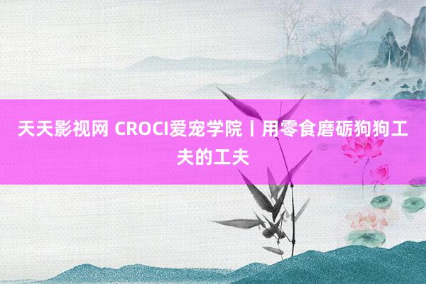 天天影视网 CROCI爱宠学院丨用零食磨砺狗狗工夫的工夫