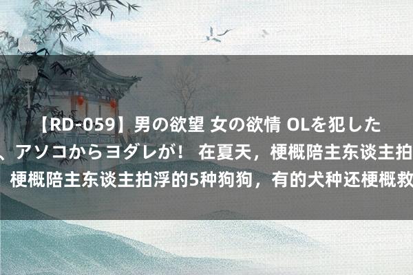 【RD-059】男の欲望 女の欲情 OLを犯したい すました顔して…ほら、アソコからヨダレが！ 在夏天，梗概陪主东谈主拍浮的5种狗狗，有的犬种还梗概救溺水者！