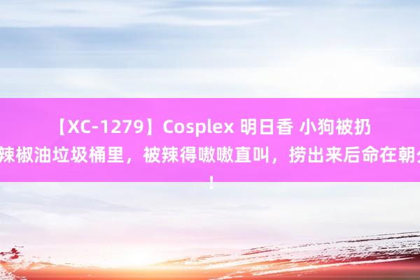 【XC-1279】Cosplex 明日香 小狗被扔进辣椒油垃圾桶里，被辣得嗷嗷直叫，捞出来后命在朝夕！