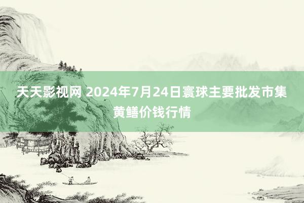 天天影视网 2024年7月24日寰球主要批发市集黄鳝价钱行情