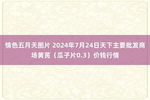 情色五月天图片 2024年7月24日天下主要批发商场黄芪（瓜子片0.3）价钱行情