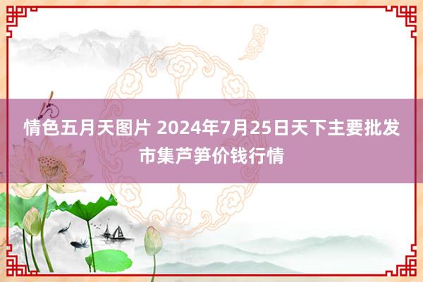 情色五月天图片 2024年7月25日天下主要批发市集芦笋价钱行情