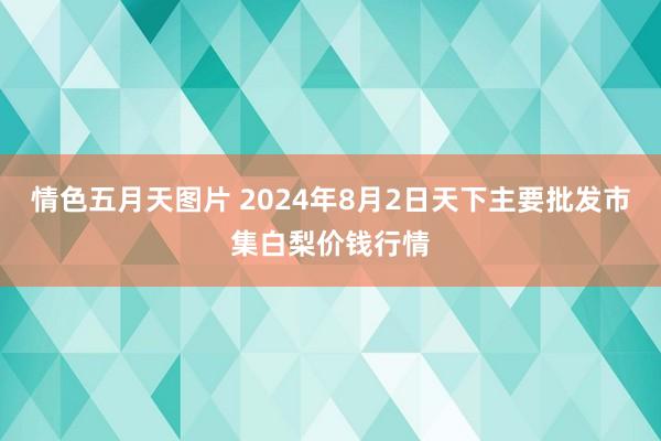 情色五月天图片 2024年8月2日天下主要批发市集白梨价钱行情