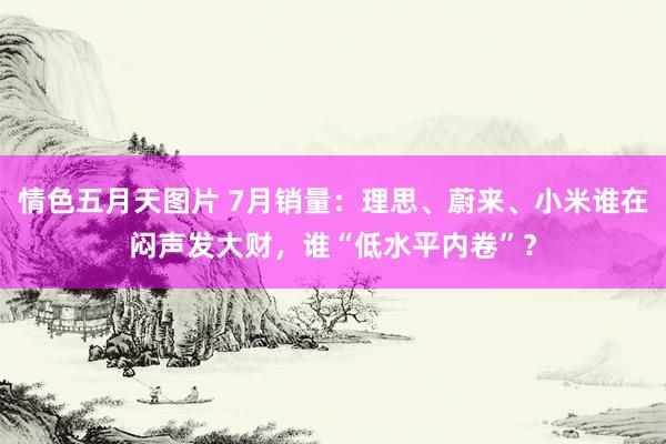 情色五月天图片 7月销量：理思、蔚来、小米谁在闷声发大财，谁“低水平内卷”？