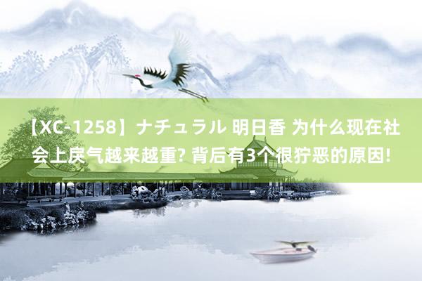 【XC-1258】ナチュラル 明日香 为什么现在社会上戾气越来越重? 背后有3个很狞恶的原因!