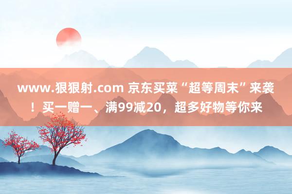 www.狠狠射.com 京东买菜“超等周末”来袭！买一赠一、满99减20，超多好物等你来