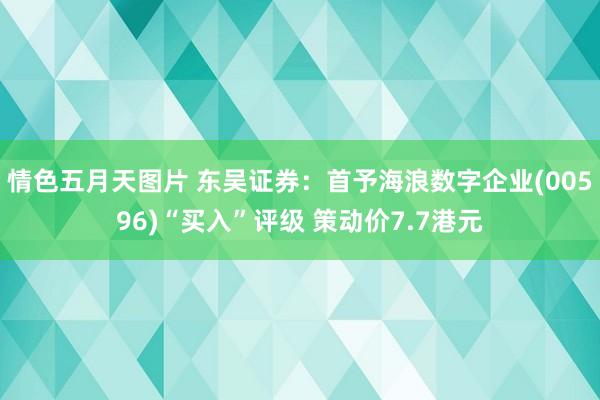 情色五月天图片 东吴证券：首予海浪数字企业(00596)“买入”评级 策动价7.7港元