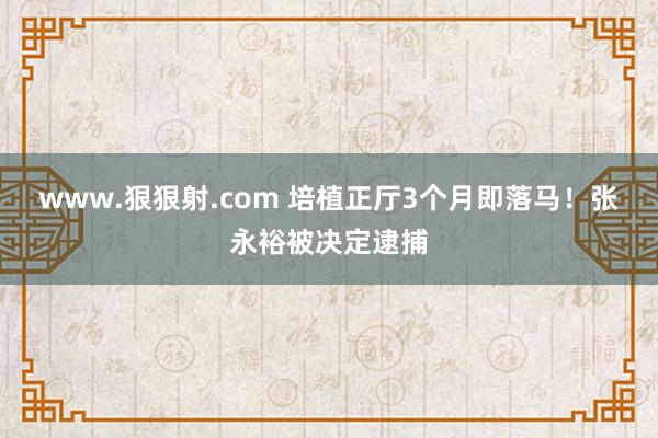 www.狠狠射.com 培植正厅3个月即落马！张永裕被决定逮捕