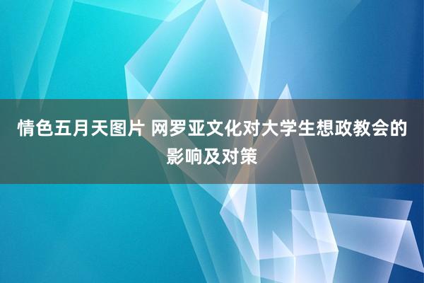 情色五月天图片 网罗亚文化对大学生想政教会的影响及对策