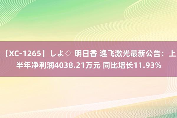 【XC-1265】しよ◇ 明日香 逸飞激光最新公告：上半年净利润4038.21万元 同比增长11.93%