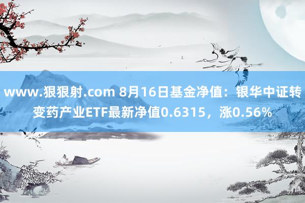 www.狠狠射.com 8月16日基金净值：银华中证转变药产业ETF最新净值0.6315，涨0.56%