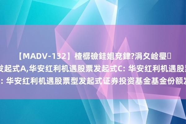 【MADV-132】楂樼礆銈姐兗銉?涓夊崄璺法 华安红利机遇股票发起式A，华安红利机遇股票发起式C: 华安红利机遇股票型发起式证券投资基金基金份额发售公告