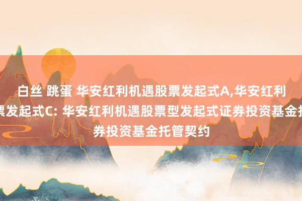 白丝 跳蛋 华安红利机遇股票发起式A，华安红利机遇股票发起式C: 华安红利机遇股票型发起式证券投资基金托管契约