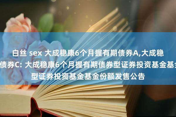 白丝 sex 大成稳康6个月握有期债券A，大成稳康6个月握有期债券C: 大成稳康6个月握有期债券型证券投资基金基金份额发售公告