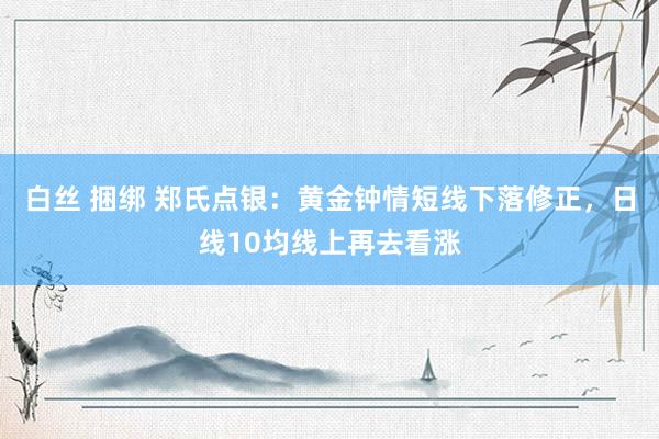 白丝 捆绑 郑氏点银：黄金钟情短线下落修正，日线10均线上再去看涨