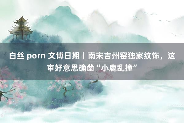 白丝 porn 文博日期丨南宋吉州窑独家纹饰，这审好意思确凿“小鹿乱撞”