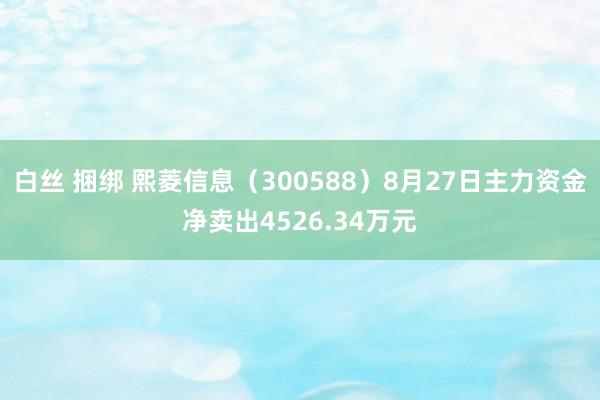 白丝 捆绑 熙菱信息（300588）8月27日主力资金净卖出4526.34万元