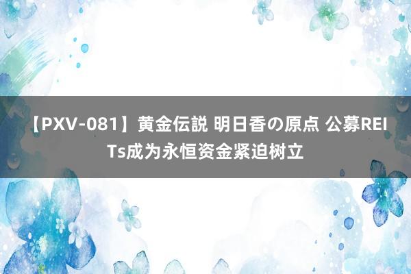 【PXV-081】黄金伝説 明日香の原点 公募REITs成为永恒资金紧迫树立