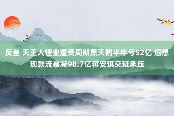 反差 天王人锂业遭受周期黑天鹅半年亏52亿 遐想现款流暴减98.7亿蒋安琪交班承压