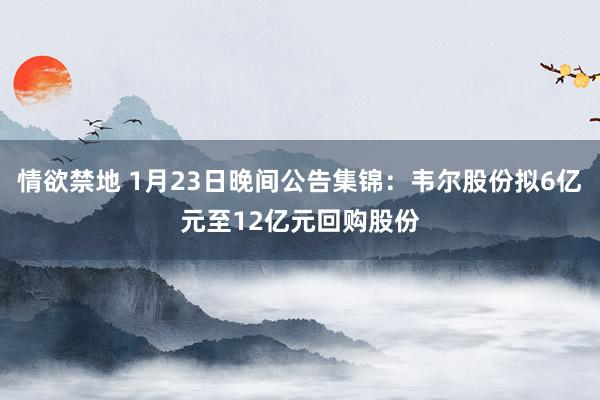 情欲禁地 1月23日晚间公告集锦：韦尔股份拟6亿元至12亿元回购股份