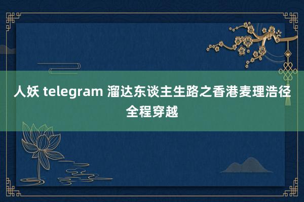 人妖 telegram 溜达东谈主生路之香港麦理浩径全程穿越